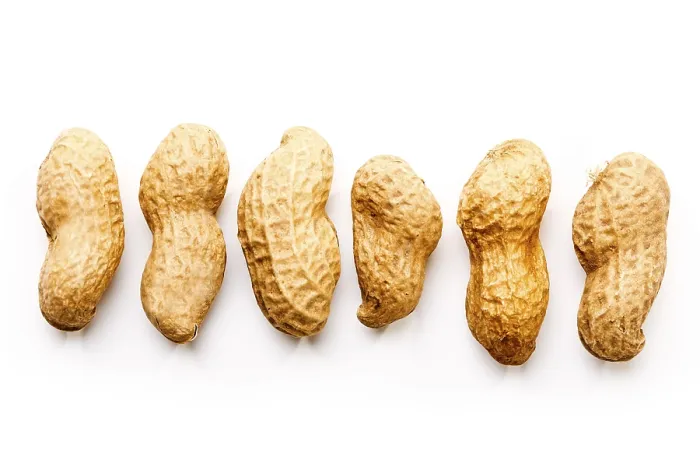 Gerahmter Druck : Peanuts Gerahmter Druck : Peanuts
