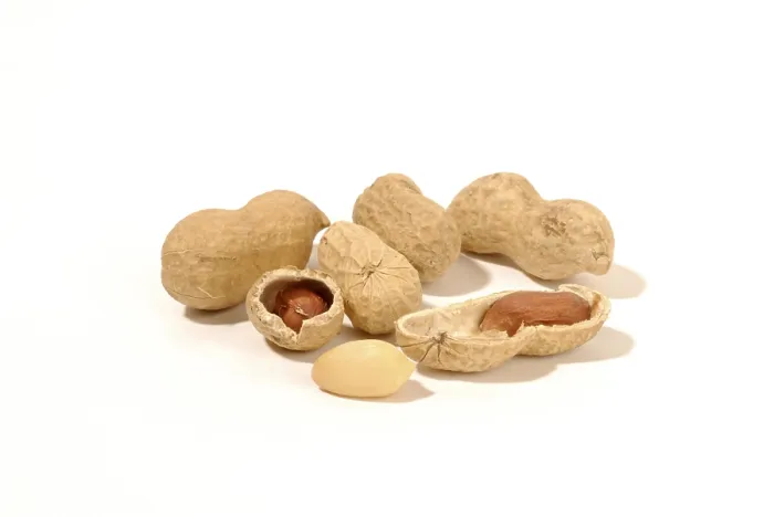 Gerahmter Druck : Peanuts Gerahmter Druck : Peanuts