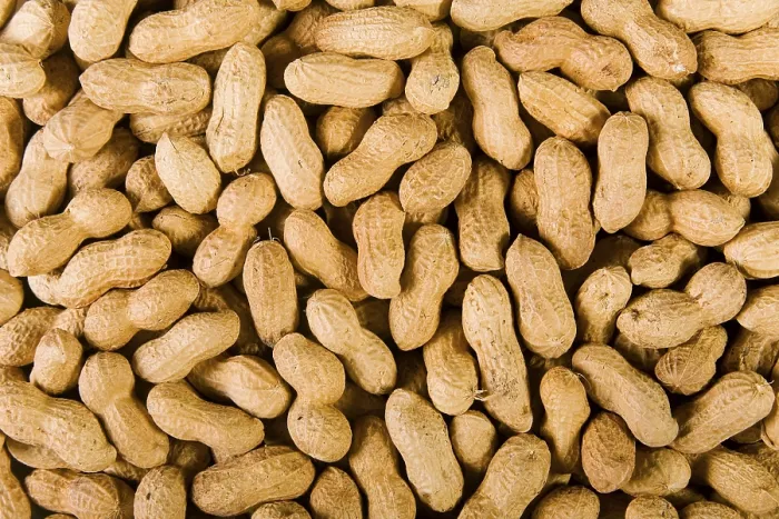 Gerahmter Druck : Peanuts Gerahmter Druck : Peanuts