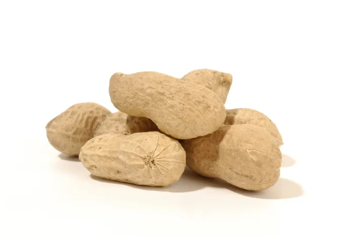 Gerahmter Druck : Peanuts Gerahmter Druck : Peanuts