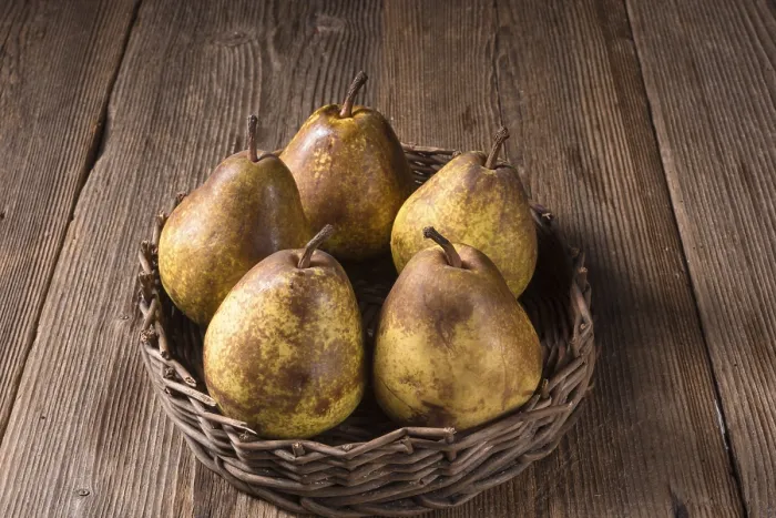 Gerahmter Druck : Pear Gerahmter Druck : Pear