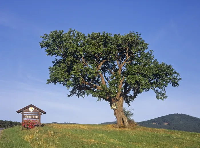 Gerahmter Druck : Birnbaum und Wegekapelle, Triestingtal. Gerahmter Druck : Birnbaum und Wegekapelle, Triestingtal.