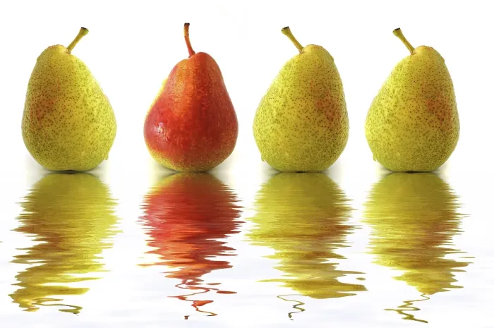 Gerahmter Druck : Vier Birnen, drei grün, eine rot, mit Reflexion. Gerahmter Druck : Vier Birnen, drei grün, eine rot, mit Reflexion.