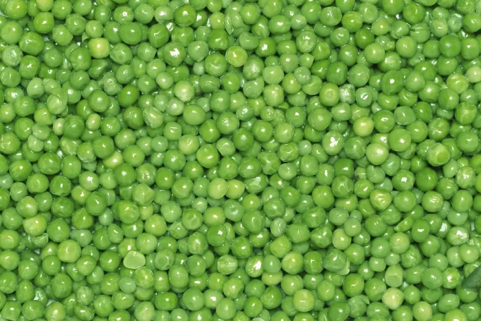Gerahmter Druck : Peas Gerahmter Druck : Peas