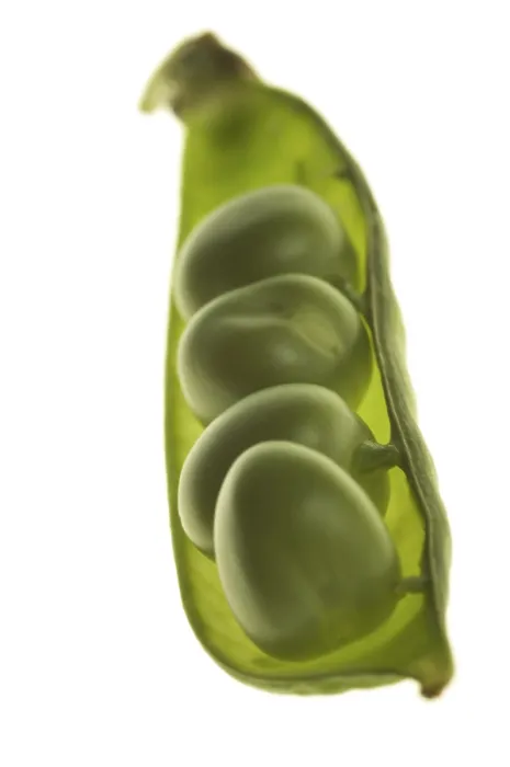 Gerahmter Druck : Peas Gerahmter Druck : Peas