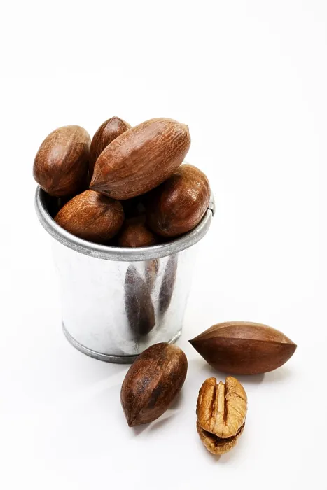 Gerahmter Druck : Pecans Gerahmter Druck : Pecans