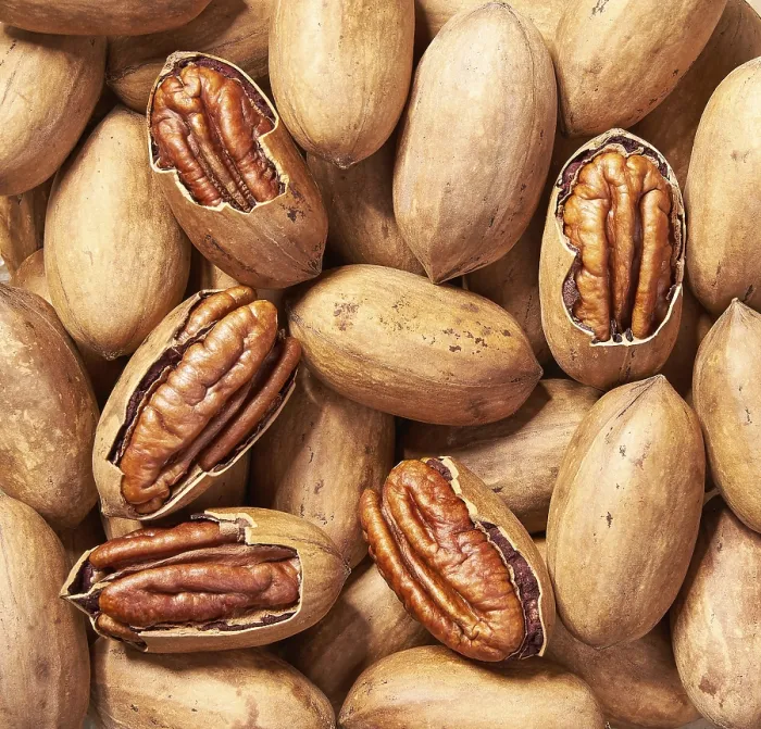 Gerahmter Druck : Pecan-Nüsse im Hintergrund, Nahansicht. Gerahmter Druck : Pecan-Nüsse im Hintergrund, Nahansicht.