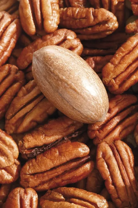 Gerahmter Druck : Pecans, Vollformat Gerahmter Druck : Pecans, Vollformat
