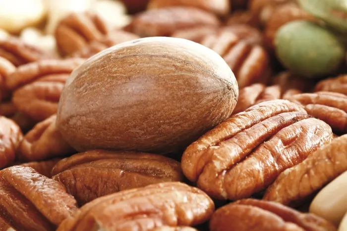 Gerahmter Druck : Pecan- und gemischte Nüsse, Vollformat. Gerahmter Druck : Pecan- und gemischte Nüsse, Vollformat.