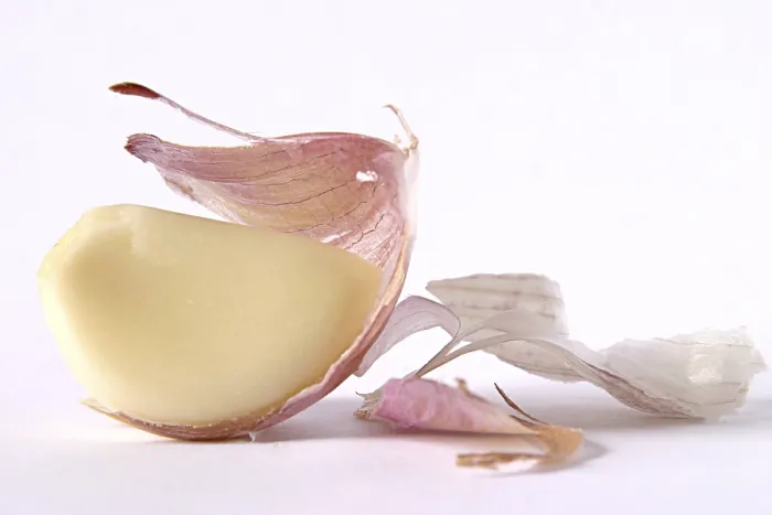 Gerahmter Druck : Knoblauch geschält Gerahmter Druck : Knoblauch geschält