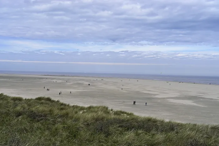 Gerahmter Druck : Menschen am Strand, De Cocksdorp Gerahmter Druck : Menschen am Strand, De Cocksdorp