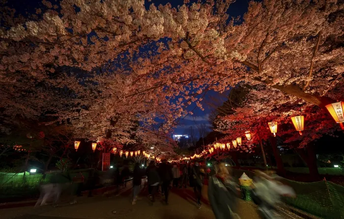 Gerahmter Druck : Menschen gehen durch den Park. Gerahmter Druck : Menschen gehen durch den Park.