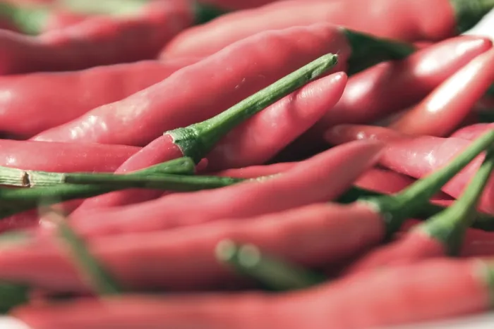 Gerahmter Druck : Pepper Gerahmter Druck : Pepper