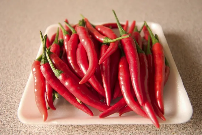 Gerahmter Druck : Pepper Gerahmter Druck : Pepper