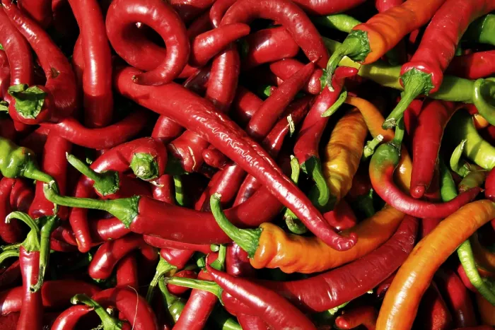Gerahmter Druck : Peppers Gerahmter Druck : Peppers