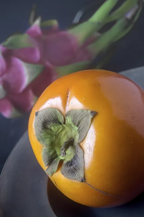 Gerahmter Druck : Persimmon Gerahmter Druck : Persimmon