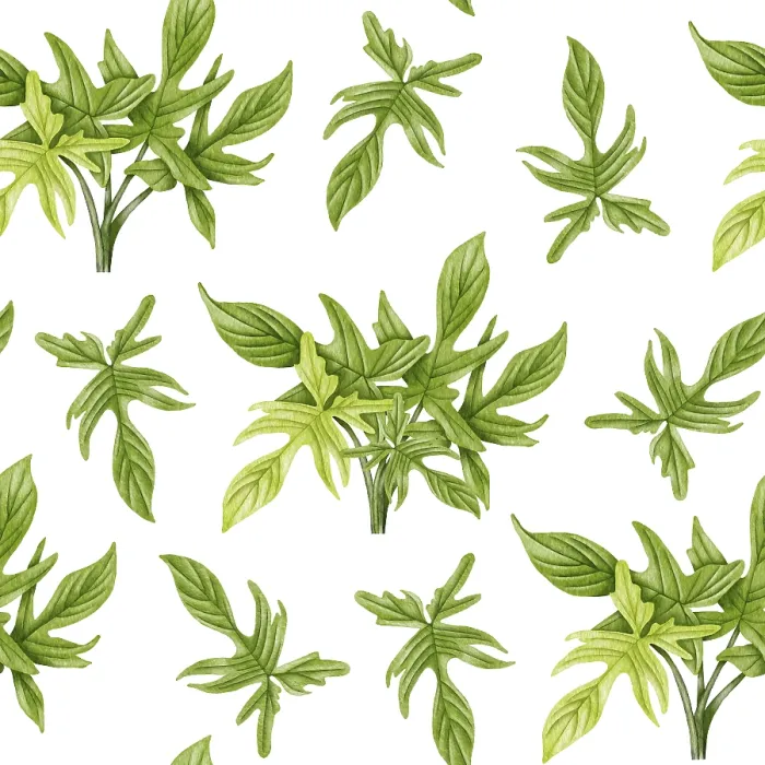 Gerahmter Druck : Philodendron-Muster ohne Unterbrechung Gerahmter Druck : Philodendron-Muster ohne Unterbrechung