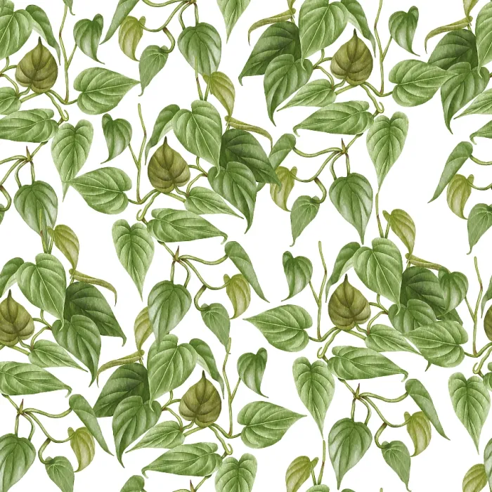 Gerahmter Druck : Philodendron-Muster ohne Unterbrechung Gerahmter Druck : Philodendron-Muster ohne Unterbrechung