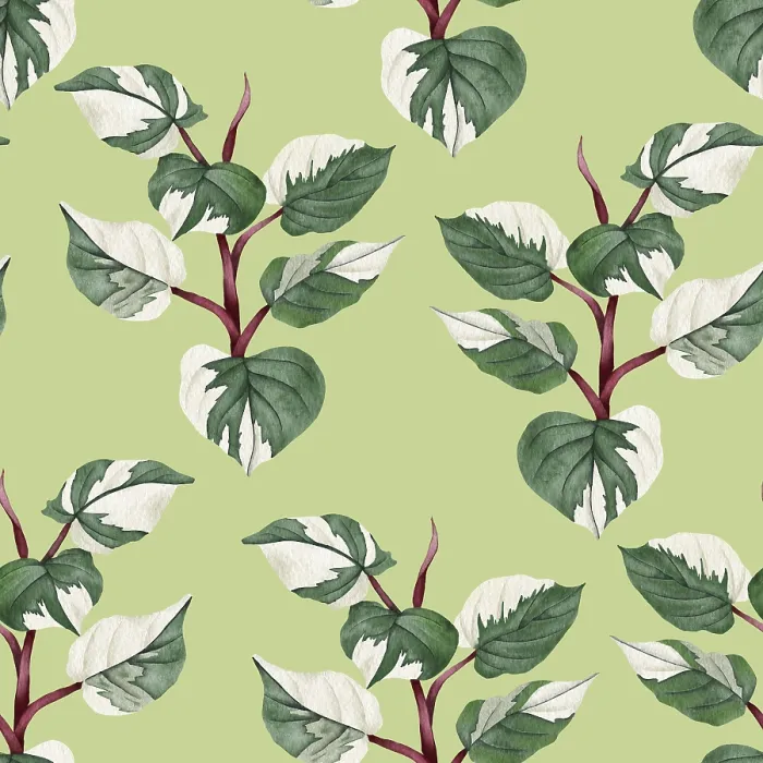 Gerahmter Druck : Philodendron-Muster ohne Lücken Gerahmter Druck : Philodendron-Muster ohne Lücken