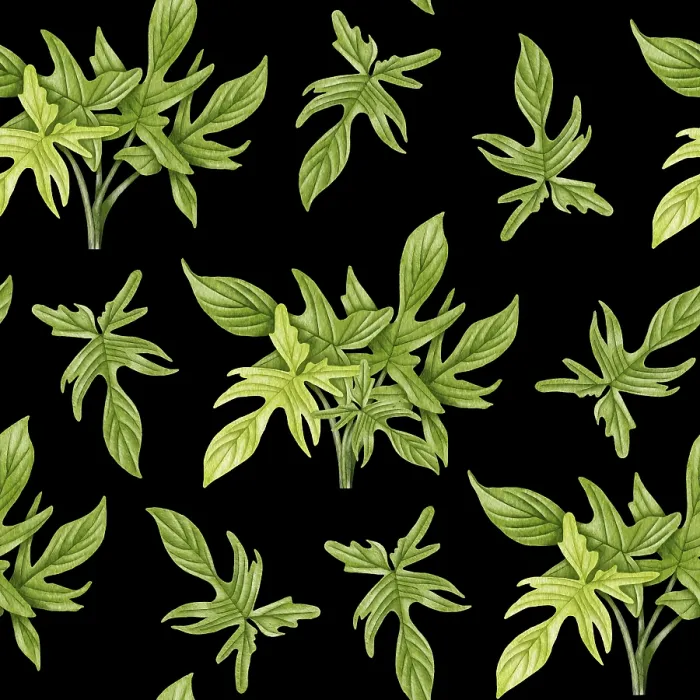 Gerahmter Druck : Philodendron-Seamless-Muster Gerahmter Druck : Philodendron-Seamless-Muster