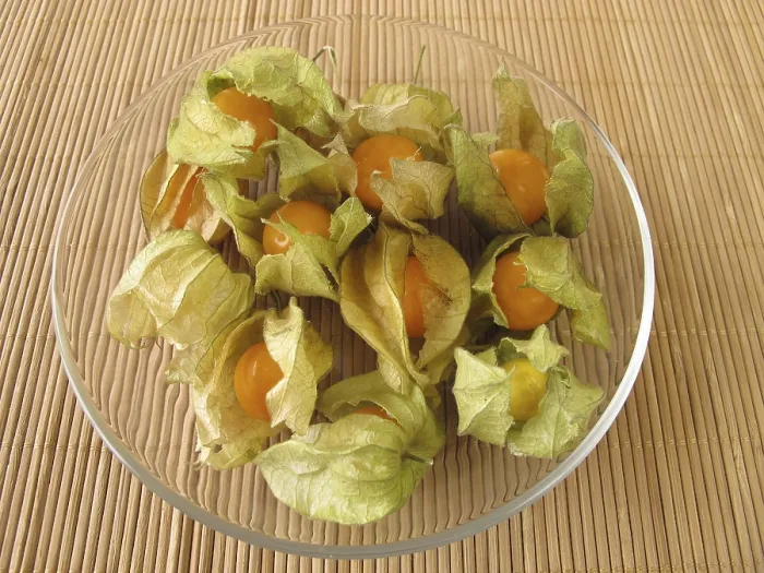 Gerahmter Druck : Physalis ? Kap-Mohnbeere. Gerahmter Druck : Physalis ? Kap-Mohnbeere.