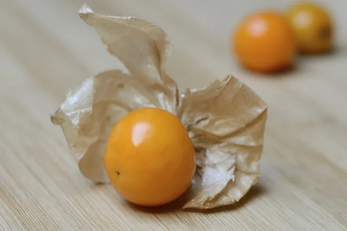Gerahmter Druck : Physalis (Physalis peruviana) Gerahmter Druck : Physalis (Physalis peruviana)