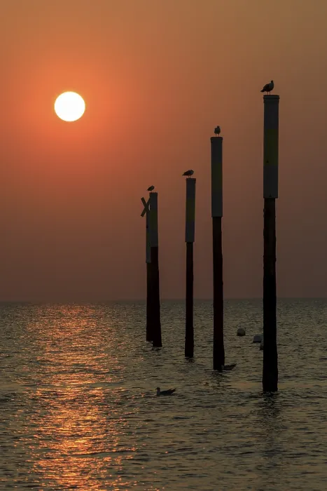 Gerahmter Druck : Düne am Sonnenuntergang in St. Peter-Ording Gerahmter Druck : Düne am Sonnenuntergang in St. Peter-Ording