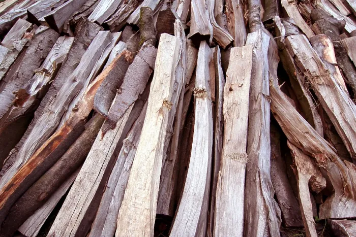 Gerahmter Druck : Gefällte Holz. Gerahmter Druck : Gefällte Holz.