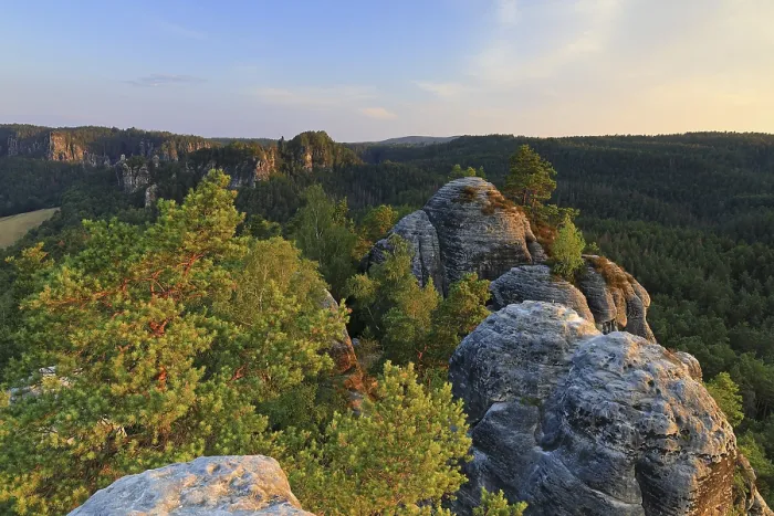Gerahmter Druck : Tanne (Pinus) auf Sandsteinfelsen. Gerahmter Druck : Tanne (Pinus) auf Sandsteinfelsen.