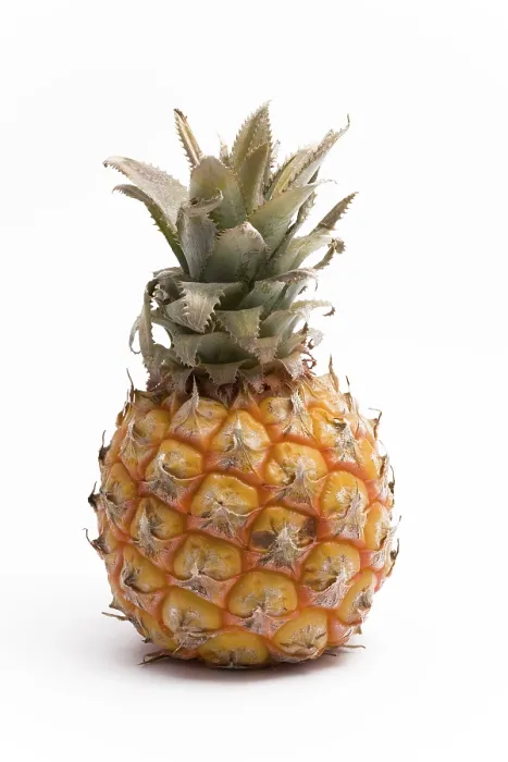 Gerahmter Druck : Pineapple Gerahmter Druck : Pineapple