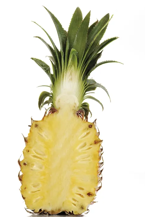 Gerahmter Druck : Ananas (Ananas comosus), halbiert. Gerahmter Druck : Ananas (Ananas comosus), halbiert.
