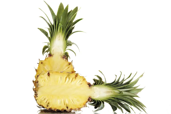 Gerahmter Druck : Ananas comosus, halbiert. Gerahmter Druck : Ananas comosus, halbiert.