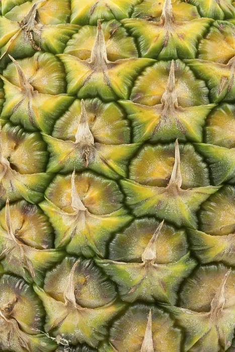 Gerahmter Druck : Ananas als Hintergrund.
