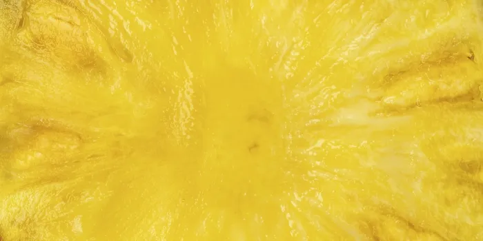 Gerahmter Druck : Oben gesehene Panorama von einer Ananas
