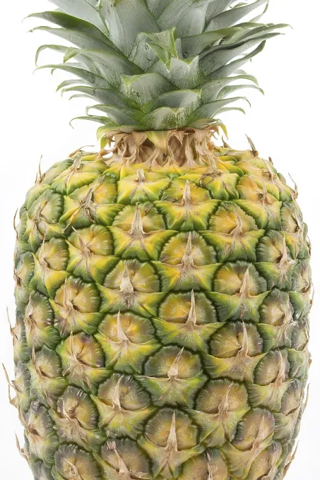 Gerahmter Druck : Ganzer Ananas auf weißem Hintergrund. Gerahmter Druck : Ganzer Ananas auf weißem Hintergrund.