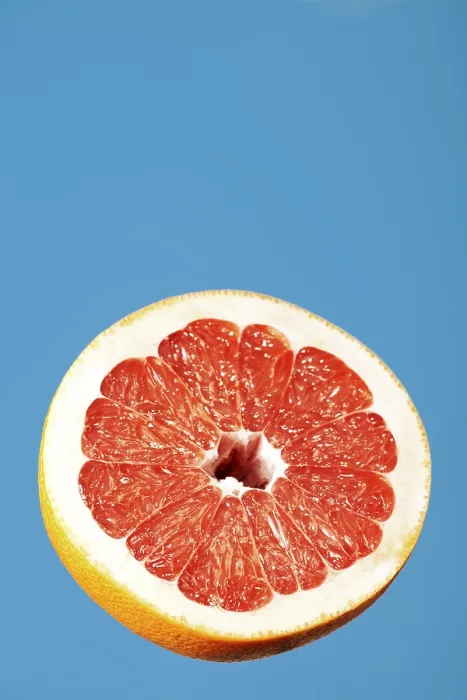 Gerahmter Druck : Rosafarne Grapefruit Gerahmter Druck : Rosafarne Grapefruit