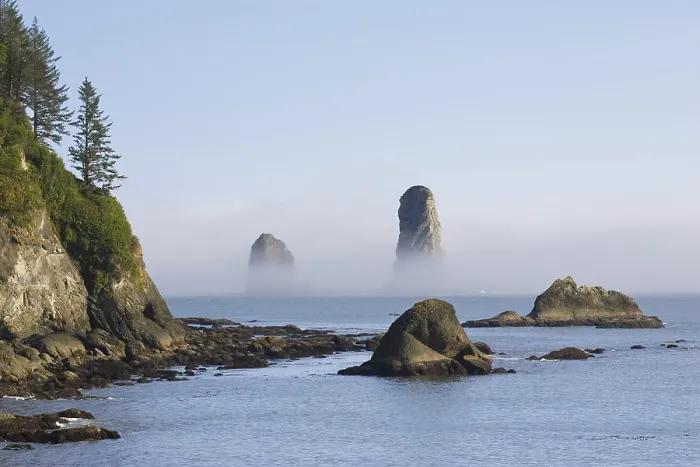 Gerahmter Druck : Felsnadeln an der Küste bei La Push. Gerahmter Druck : Felsnadeln an der Küste bei La Push.