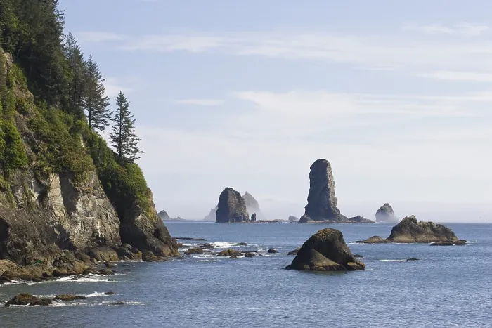 Gerahmter Druck : Felsnadeln an der Küste bei La Push. Gerahmter Druck : Felsnadeln an der Küste bei La Push.