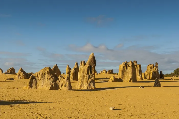 Gerahmter Druck : Die Pinnacles-Kalkformationen. Gerahmter Druck : Die Pinnacles-Kalkformationen.
