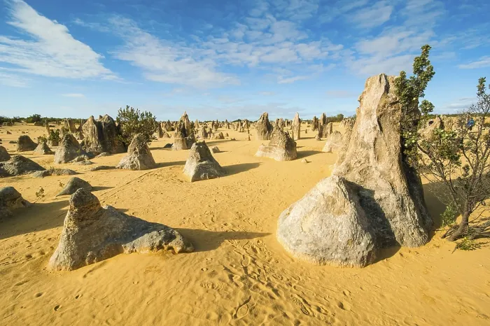 Gerahmter Druck : Die Pinnacles-Kalkformationen. Gerahmter Druck : Die Pinnacles-Kalkformationen.