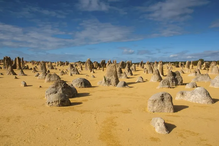 Gerahmter Druck : Die Pinnacles-Kalkformationen. Gerahmter Druck : Die Pinnacles-Kalkformationen.