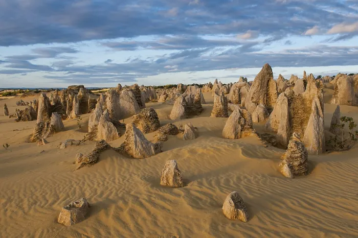 Gerahmter Druck : Die Pinnacles-Kalkformationen. Gerahmter Druck : Die Pinnacles-Kalkformationen.