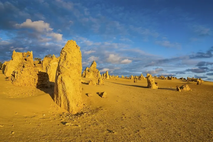 Gerahmter Druck : Die Pinnacles-Kalkformationen. Gerahmter Druck : Die Pinnacles-Kalkformationen.