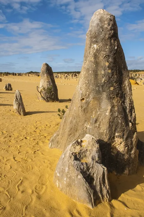 Gerahmter Druck : Die Pinnacles-Kalkformationen. Gerahmter Druck : Die Pinnacles-Kalkformationen.