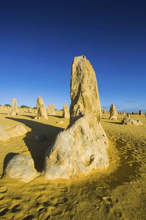 Gerahmter Druck : Die Pinnacles-Kalkformationen. Gerahmter Druck : Die Pinnacles-Kalkformationen.