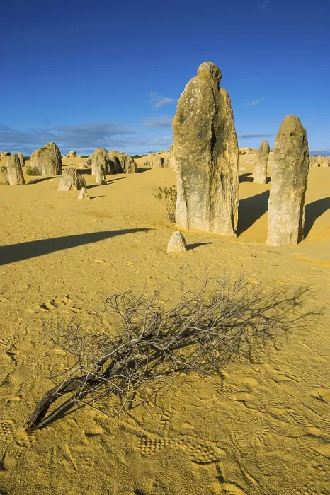 Gerahmter Druck : Die Pinnacles-Kalkformationen. Gerahmter Druck : Die Pinnacles-Kalkformationen.