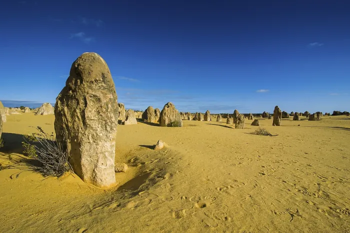Gerahmter Druck : Die Pinnacles-Kalkformationen. Gerahmter Druck : Die Pinnacles-Kalkformationen.
