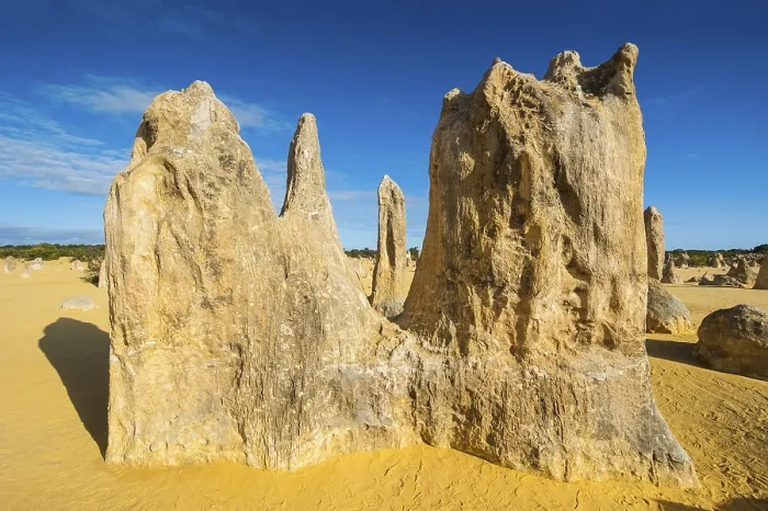 Gerahmter Druck : Die Pinnacles-Kalkformationen. Gerahmter Druck : Die Pinnacles-Kalkformationen.