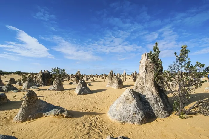 Gerahmter Druck : Die Pinnacles-Kalkformationen. Gerahmter Druck : Die Pinnacles-Kalkformationen.