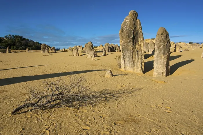 Gerahmter Druck : Die Pinnacles-Kalkformationen. Gerahmter Druck : Die Pinnacles-Kalkformationen.